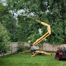 Best Weed Control  in Clarksburg, WV